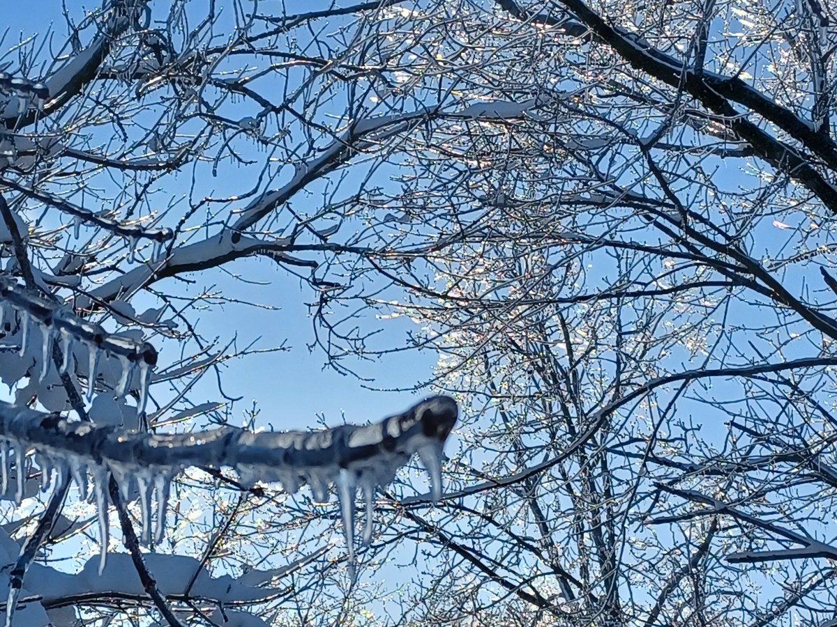 Beautiful and Breakable